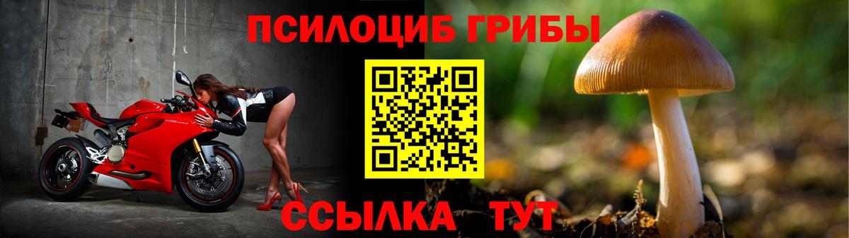 Псилоцибиновые грибы прущие грибы  Вход с VPN  Псилоцибиновые грибы Cubensis  Аксай 